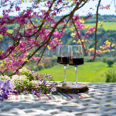 I Sicomori - Seme Di Carota - Glamping E Appartamenti Con Piscina A ซาตูร์เนีย ภายนอก รูปภาพ