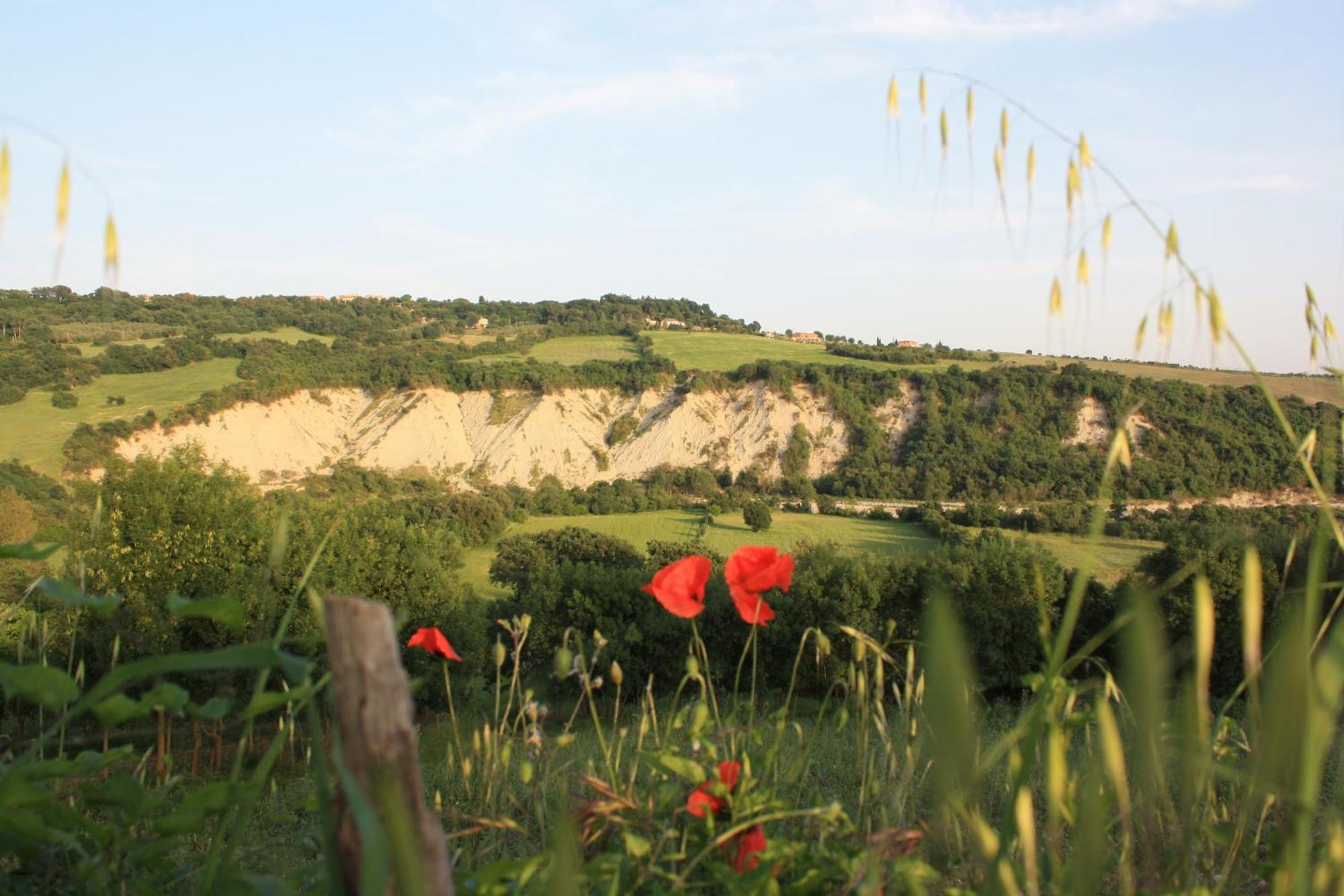 I Sicomori - Seme Di Carota - Glamping E Appartamenti Con Piscina A ซาตูร์เนีย ภายนอก รูปภาพ