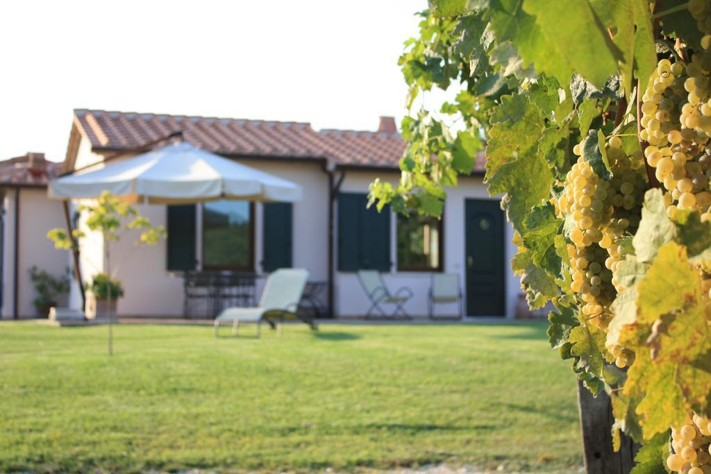 I Sicomori - Seme Di Carota - Glamping E Appartamenti Con Piscina A ซาตูร์เนีย ภายนอก รูปภาพ